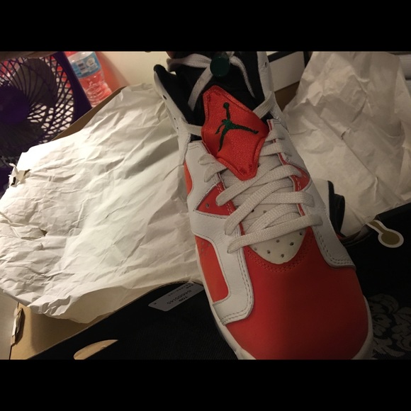 Jordan retro 6